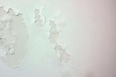 水泥固化剂能固化墙面吗？